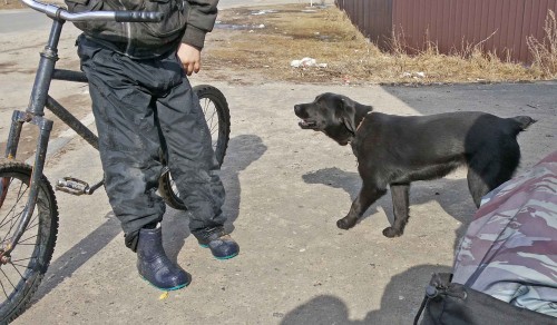Ryb_25.03.2015-5.jpg