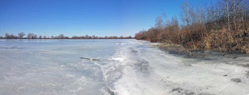 Ryb_28.03.2015-1.jpg