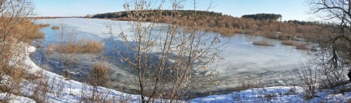 Ryb_28.03.2015-2.jpg