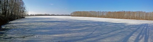 Ryb_08.04.2015-1.jpg