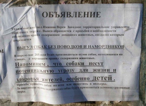 Ryb_08.04.2015-4.jpg