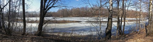 Ryb_11.04.2015-2.jpg