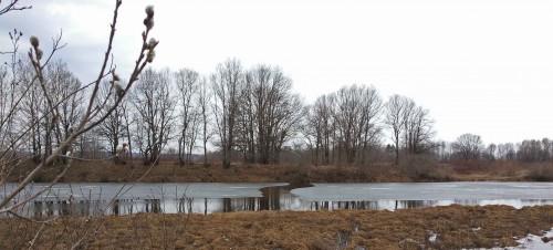Ryb_14.04.2015-4.jpg