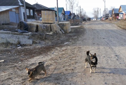 Ryb_14.04.2015-6.jpg
