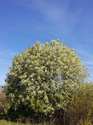 Les_10.05.2015-1.jpg