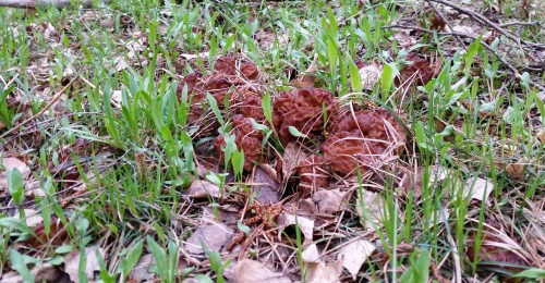 20150519_173502.jpg