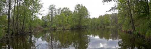 Les_20.05.2015-1.jpg