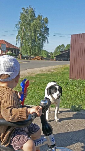 Les_25.05.2015-3.jpg