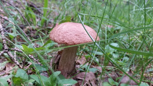 20150601_175443.jpg