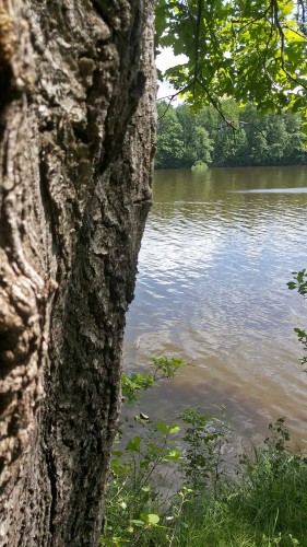 Les_11.06.2015-2.jpg