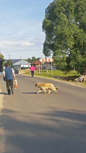 Les_11.06.2015-4.jpg