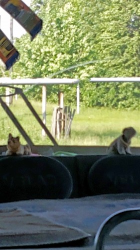 Les_15.06.2015-4.jpg