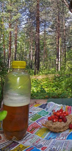Les_23.06.2015-2.jpg