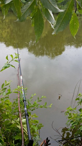 Les_25.06.2015-1.jpg