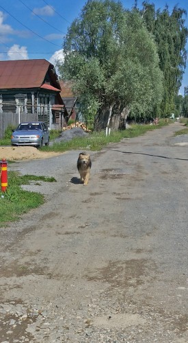 Les_16.07.2015-3.jpg