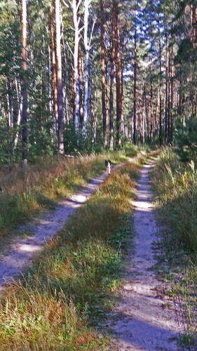Les_26.07.2015-3.jpg