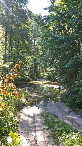 Les_02.08.2015-1.jpg