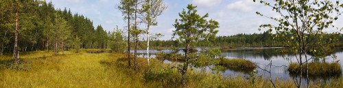 Les_08.08.2015-0.jpg