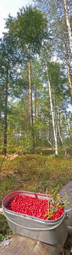 Les_26.08.2015-1.jpg