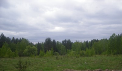 царицино поле 2.JPG