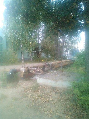 IMG_20150916_112236.jpg