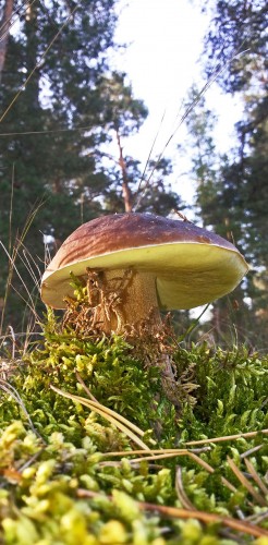 Les_23.09.2015-1.jpg