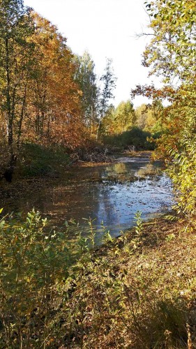 Les_25.09.2015-4.jpg