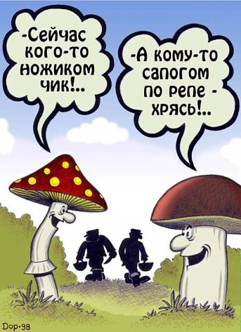 по репе.jpg