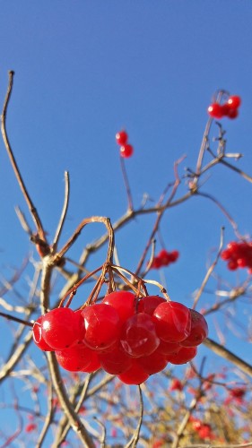 Les_14.10.2015-1.jpg