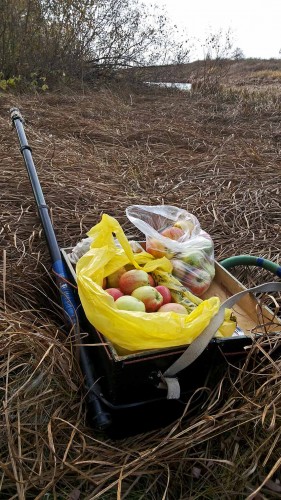 Les_17.10.2015-4.jpg
