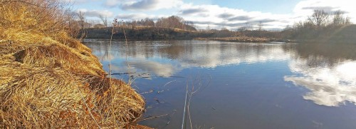 Les_06.11.2015-3.jpg