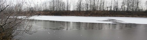 Les_15.11.2015-10.jpg