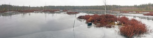 Ryb_01.12.2015-1.jpg