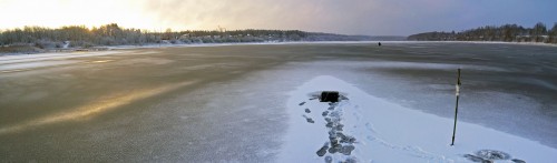 Ryb_03.12.2015-2.jpg
