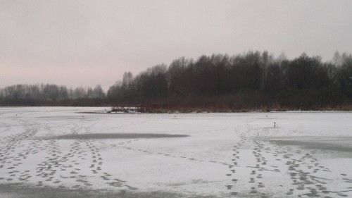 2015-12-04-1853.jpg