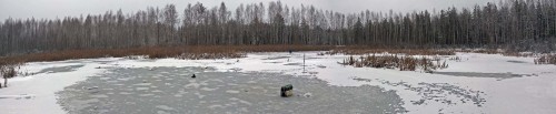 Ryb_04.12.2015-1.jpg