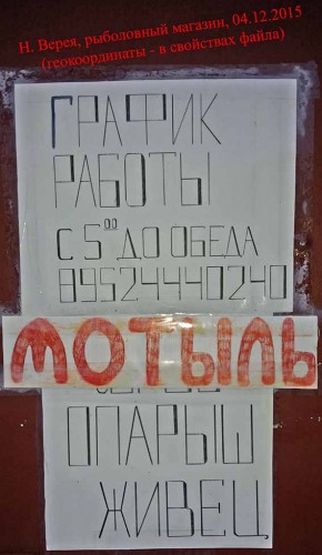 Ryb_Mag_N-Vereja_20151204.jpg