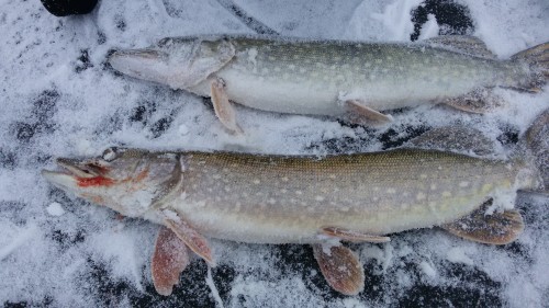 20151128_084155.jpg