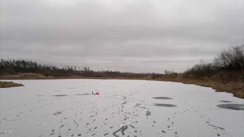 2015-12-10-1863.jpg