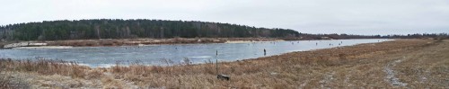 Ryb_12.12.2015-1.jpg
