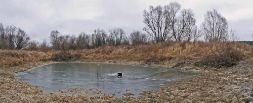Ryb_12.12.2015-2.jpg