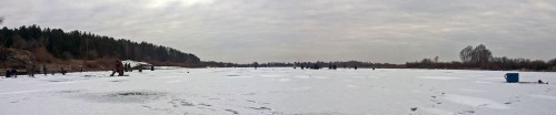 Ryb_14.12.2015-2.jpg