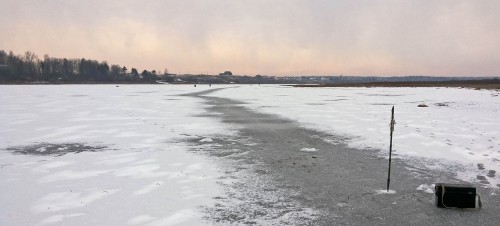 Ryb_15.12.2015-1.jpg