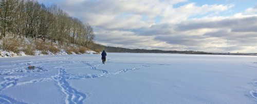 Ryb_17.12.2015-1.jpg