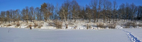 Ryb_17.12.2015-2.jpg