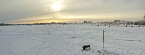 Ryb_18.12.2015-1.jpg