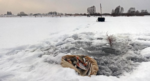 Ryb_18.12.2015-2.jpg