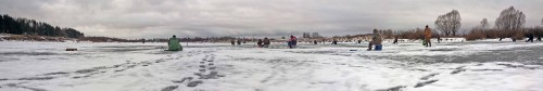 Ryb_20.12.2015-1.jpg