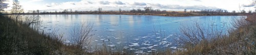 Ryb_25.12.2015-1.jpg
