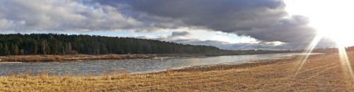 Ryb_25.12.2015-4.jpg